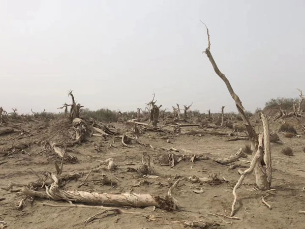 深圳房产诉讼律师讲法：土地还未依法征收就被挂牌出让!怎么办?