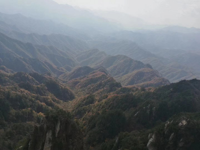 深圳律师服务网为您讲解控股股东通过建立内销账目需承担哪些责任