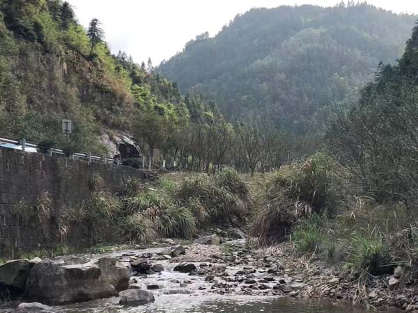 深圳职务犯罪辩护律师在线普法：2022偷逃税款罪立案标准是什么