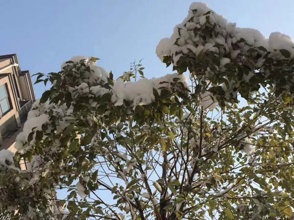 拆迁维权！深圳专业拆迁律师：房屋拆迁时如何申请信息公开
